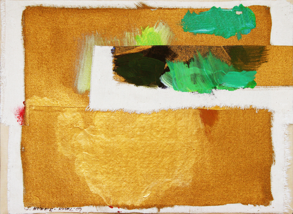  Goldpicture C2
